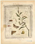 Image ID 806671