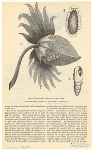 Image ID 806676