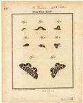 Image ID 806678