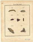 Image ID 806685