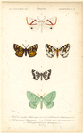 Image ID 806694