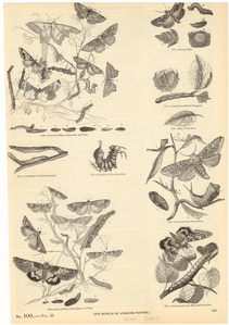 Image ID 806695