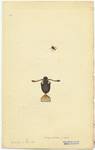 Image ID 806705
