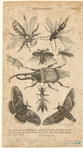Image ID 806714