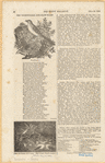 Image ID 806716
