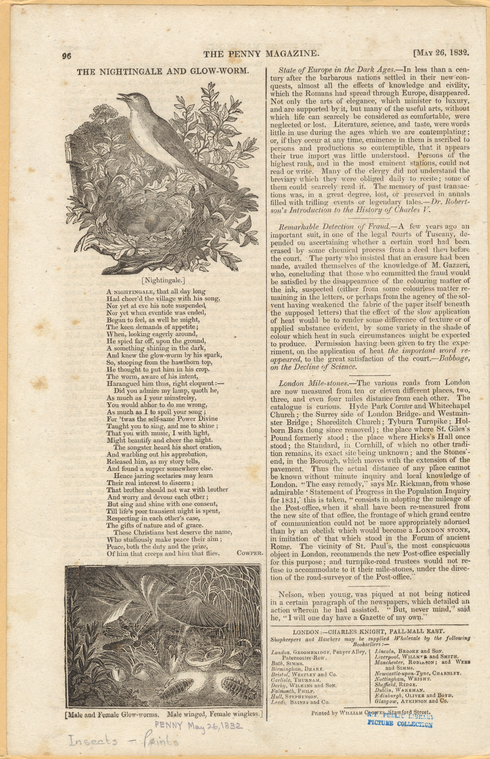 Image ID 806716
