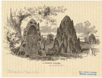 Image ID 806718