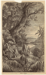 Image ID 806723