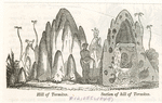 Image ID 806724
