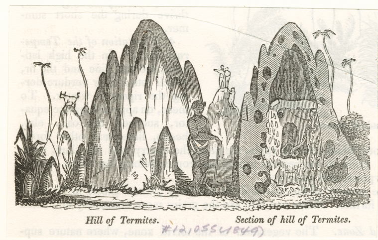 Image ID 806724
