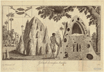 Image ID 806725