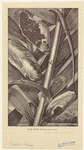Image ID 806727