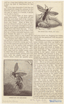 Image ID 806729