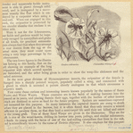 Image ID 806731