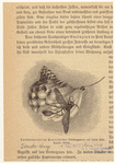 Image ID 806734