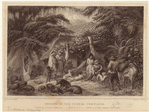 Image ID 806744
