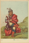 Image ID 806762