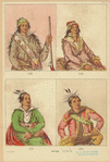 Image ID 806771