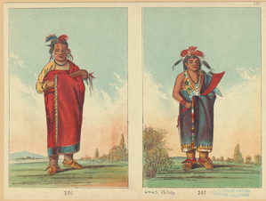 Image ID 806772