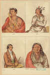 Image ID 806778