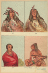 Image ID 806779