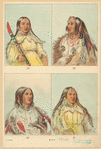 Image ID 806796