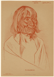 Image ID 806803