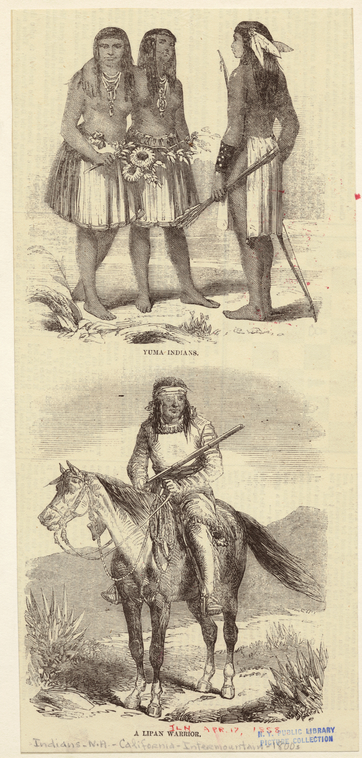 Image ID 806822
