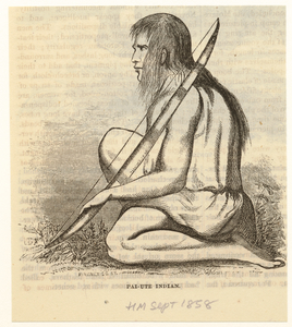 Image ID 806827