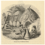 Image ID 806829