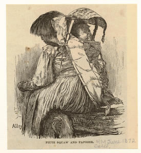 Piute squaw and papoose. Digital ID: 806830. New York Public Library
