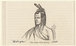 Image ID 806834