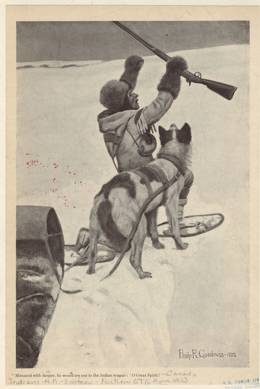 Image ID 806840
