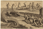 Image ID 806856