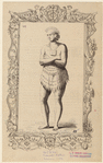 Image ID 806867