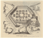 Image ID 806875