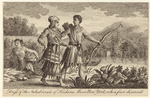 Image ID 806878