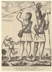 Image ID 806882