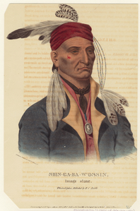 Image ID 806885