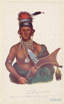 Image ID 806892