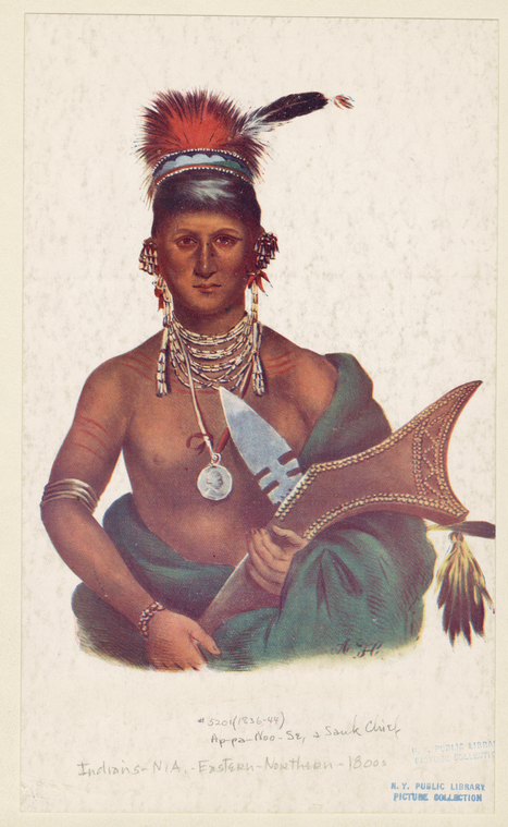 Image ID 806892
