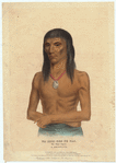 Image ID 806909