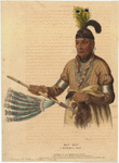 Image ID 806915