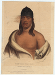 Image ID 806930