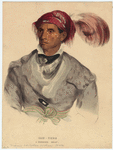 Image ID 806931