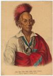 Image ID 806934