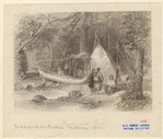 Image ID 806944