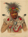 Image ID 806947