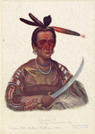 Image ID 806948