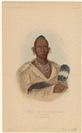 Image ID 806949